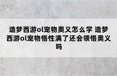 造梦西游ol宠物奥义怎么学 造梦西游ol宠物悟性满了还会领悟奥义吗